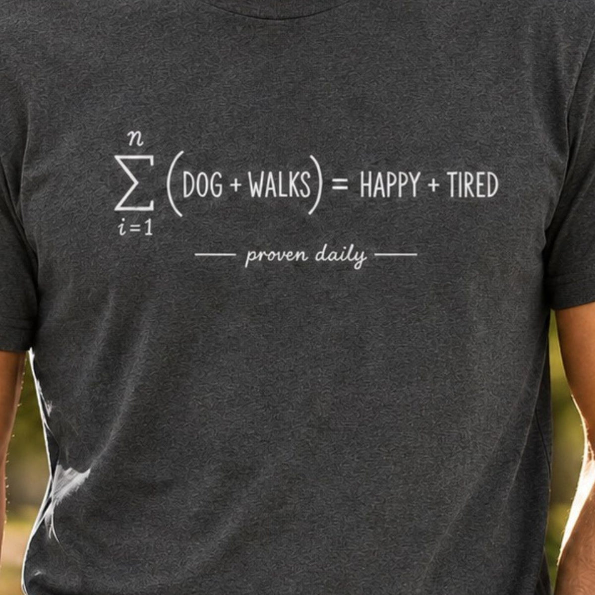 Dog Plus Walks Equation T-Shirt - Dark Heather Zoomed In